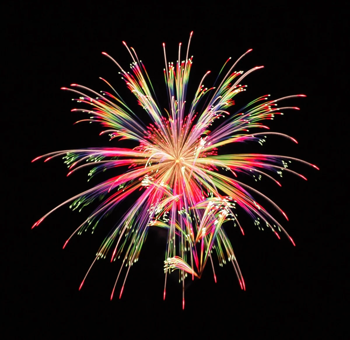 投稿写真：会津全国煙火競演会