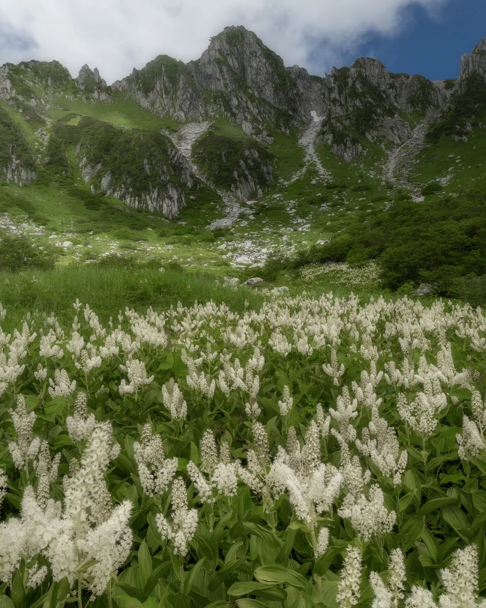 投稿写真：秘密の花園