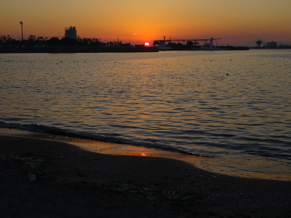 投稿写真：千葉ポートパークから見える夕日