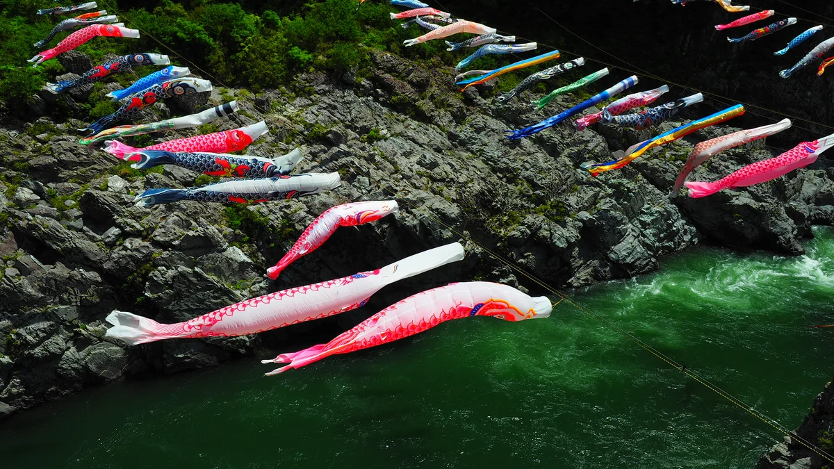 鬼瓦　鉄五郎さんの投稿写真