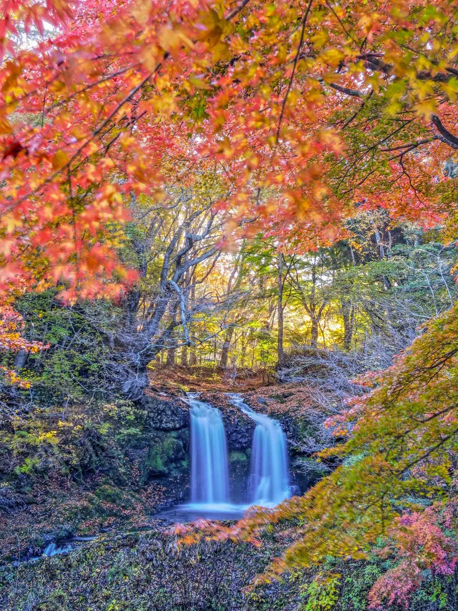 投稿写真：紅葉の鐘山の滝