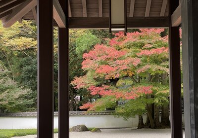  | 絶景事典