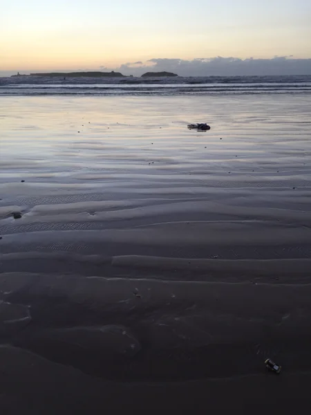 投稿：はじめての大西洋