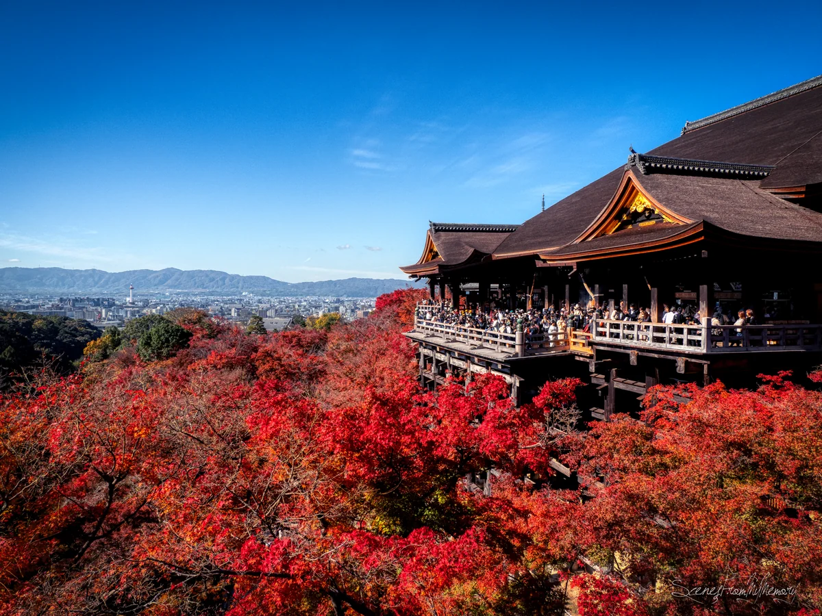 投稿写真：Red Waves