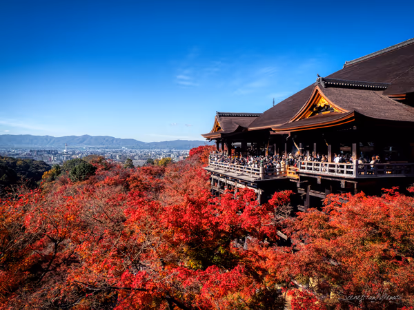 投稿：Red Waves