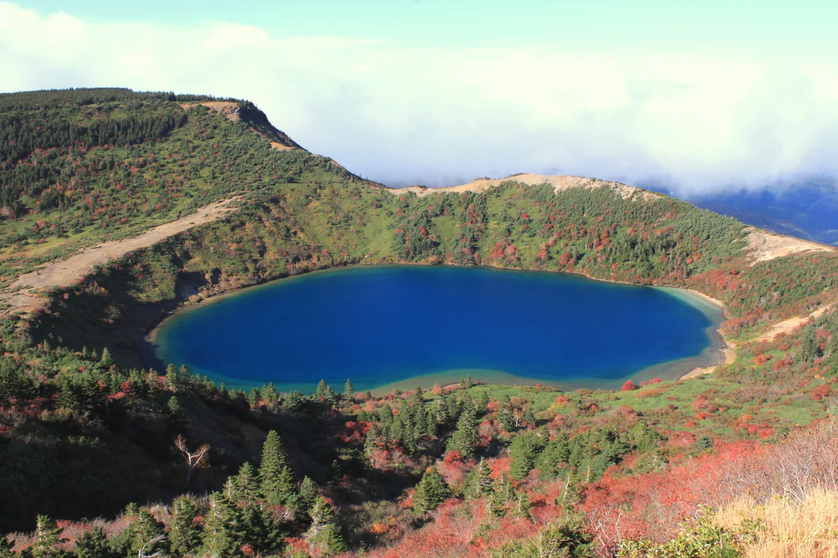 投稿写真：魔女の瞳