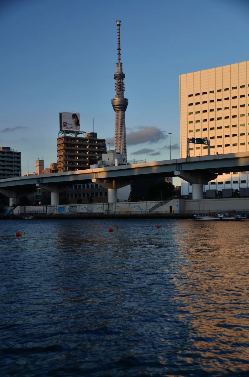 投稿写真：スカイツリー　夕暮れ時
