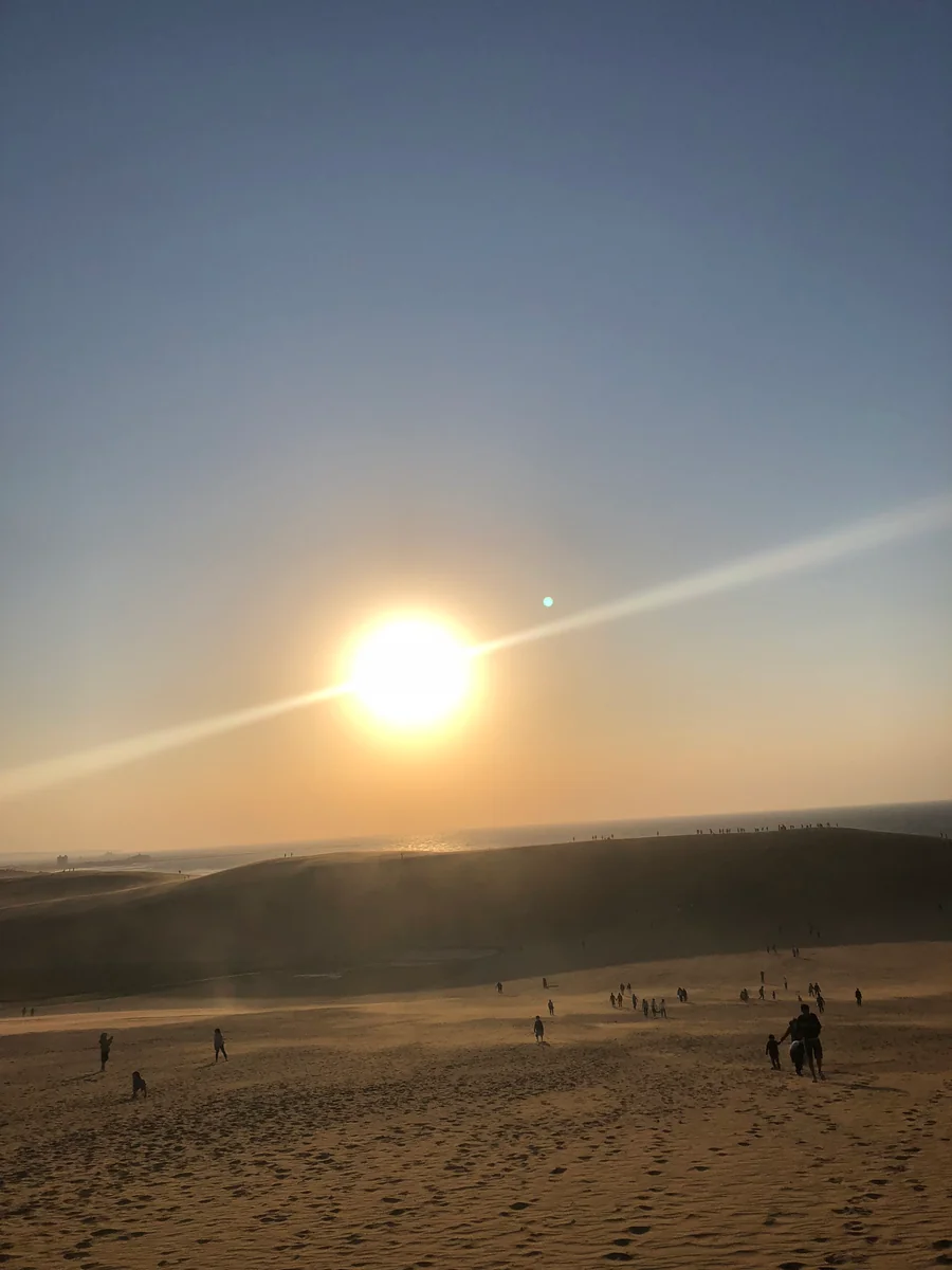投稿写真：鳥取砂丘と夕陽