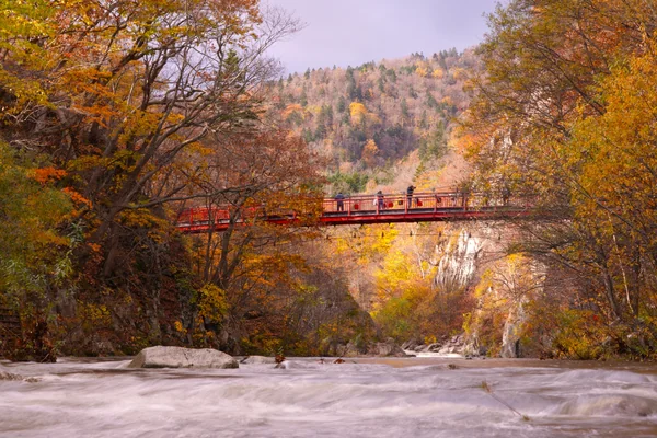 投稿：二見橋の紅葉－定山渓