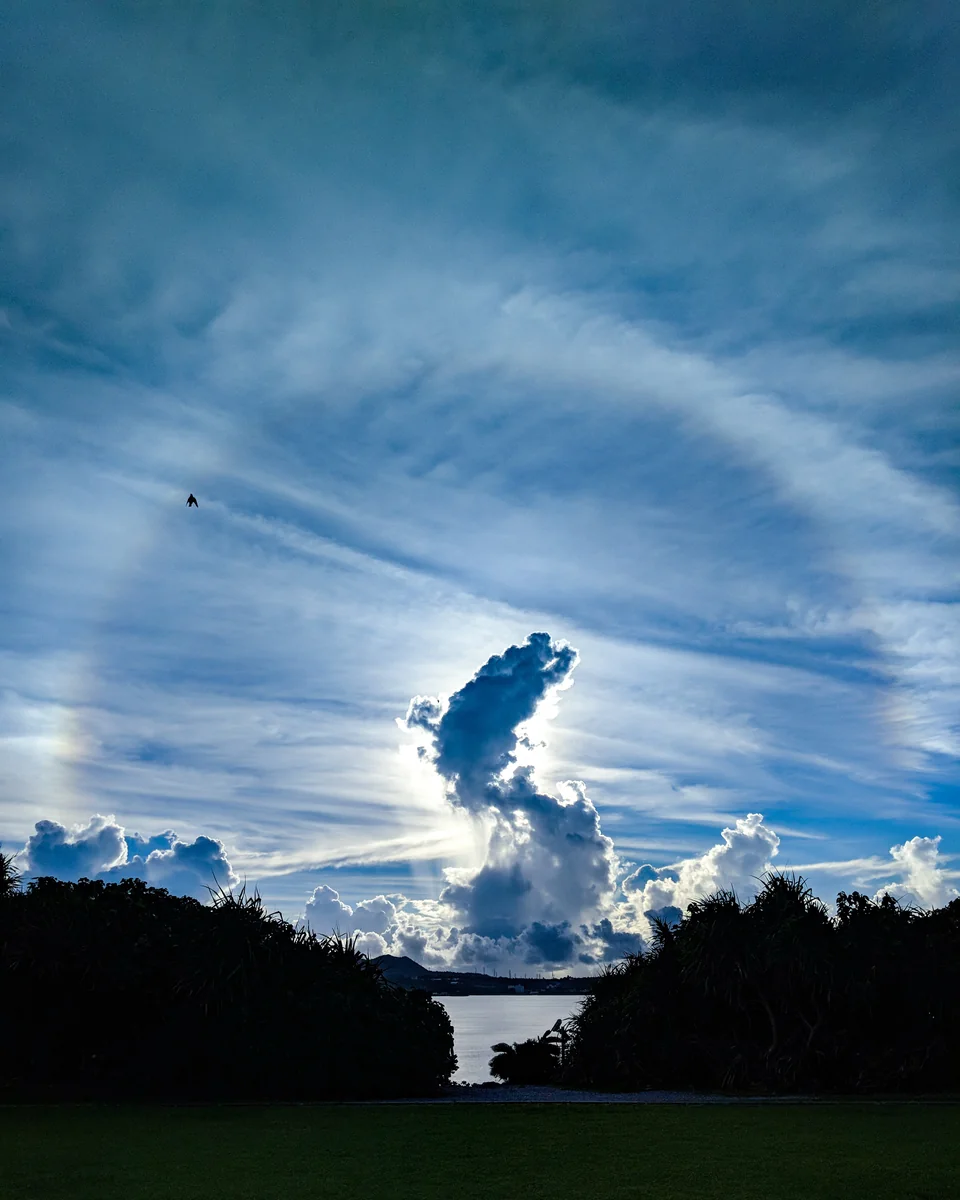 投稿写真：女王様