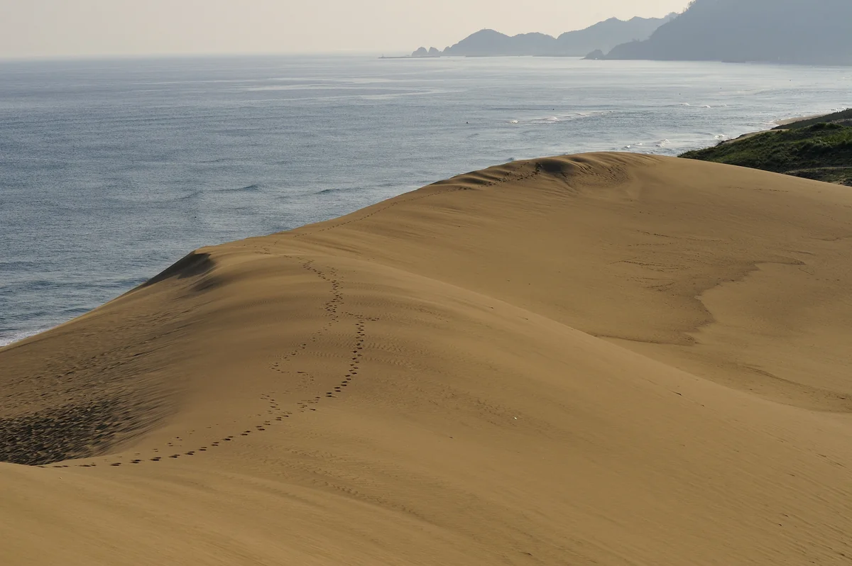 投稿写真：砂丘