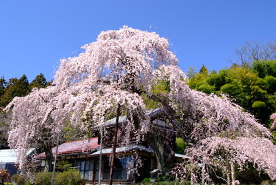  | 絶景事典