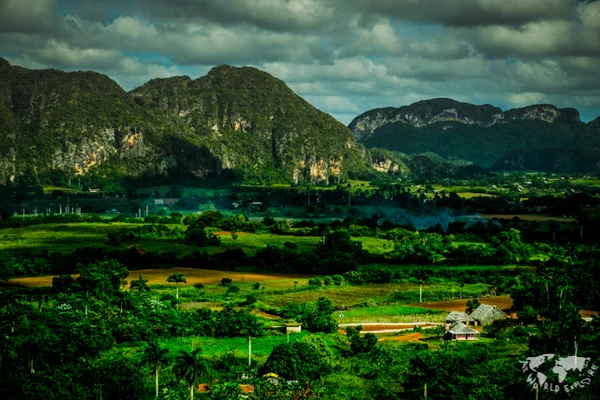 投稿：ビニャーレス渓谷