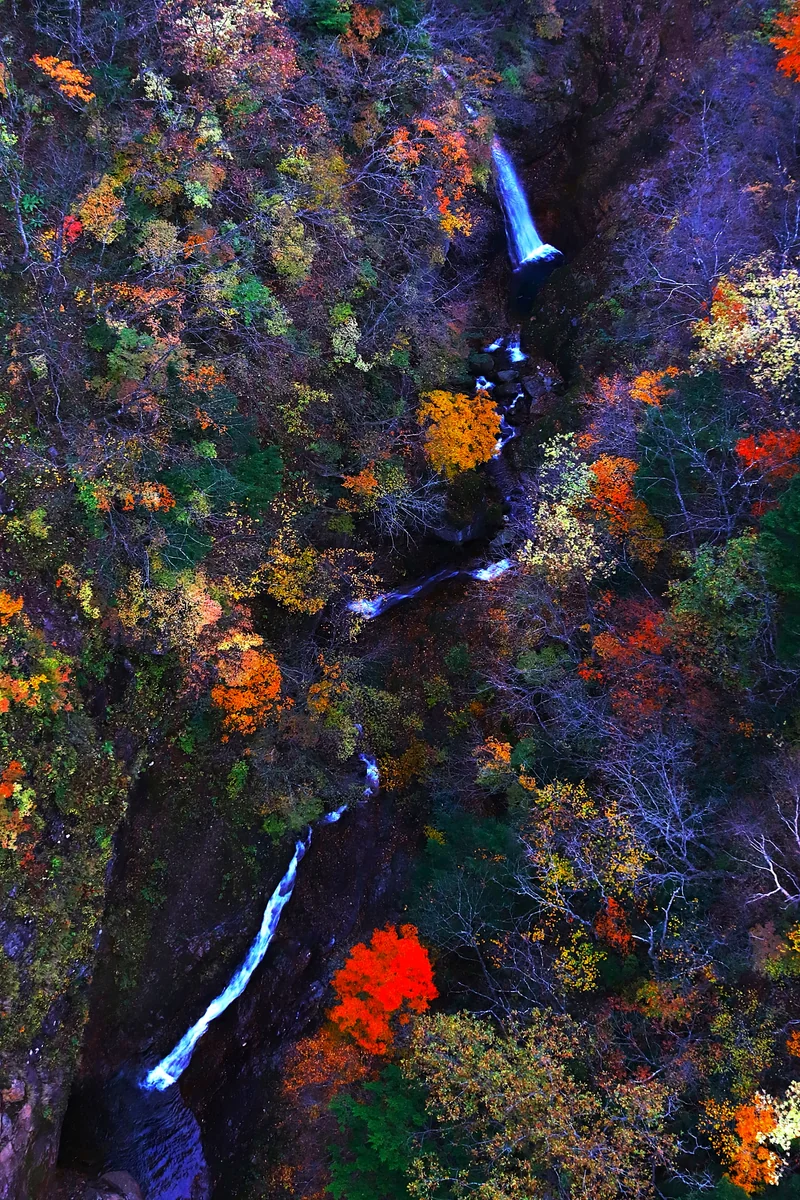 投稿写真：不動沢谷