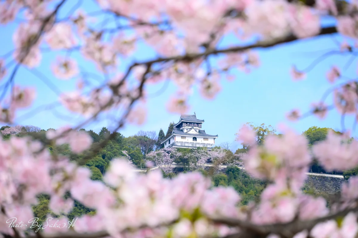 投稿写真：岩国城