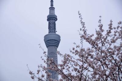  | 絶景事典