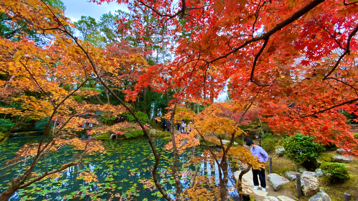 投稿写真：秋色京都 南禅寺塔頭 天授庵 書院南庭