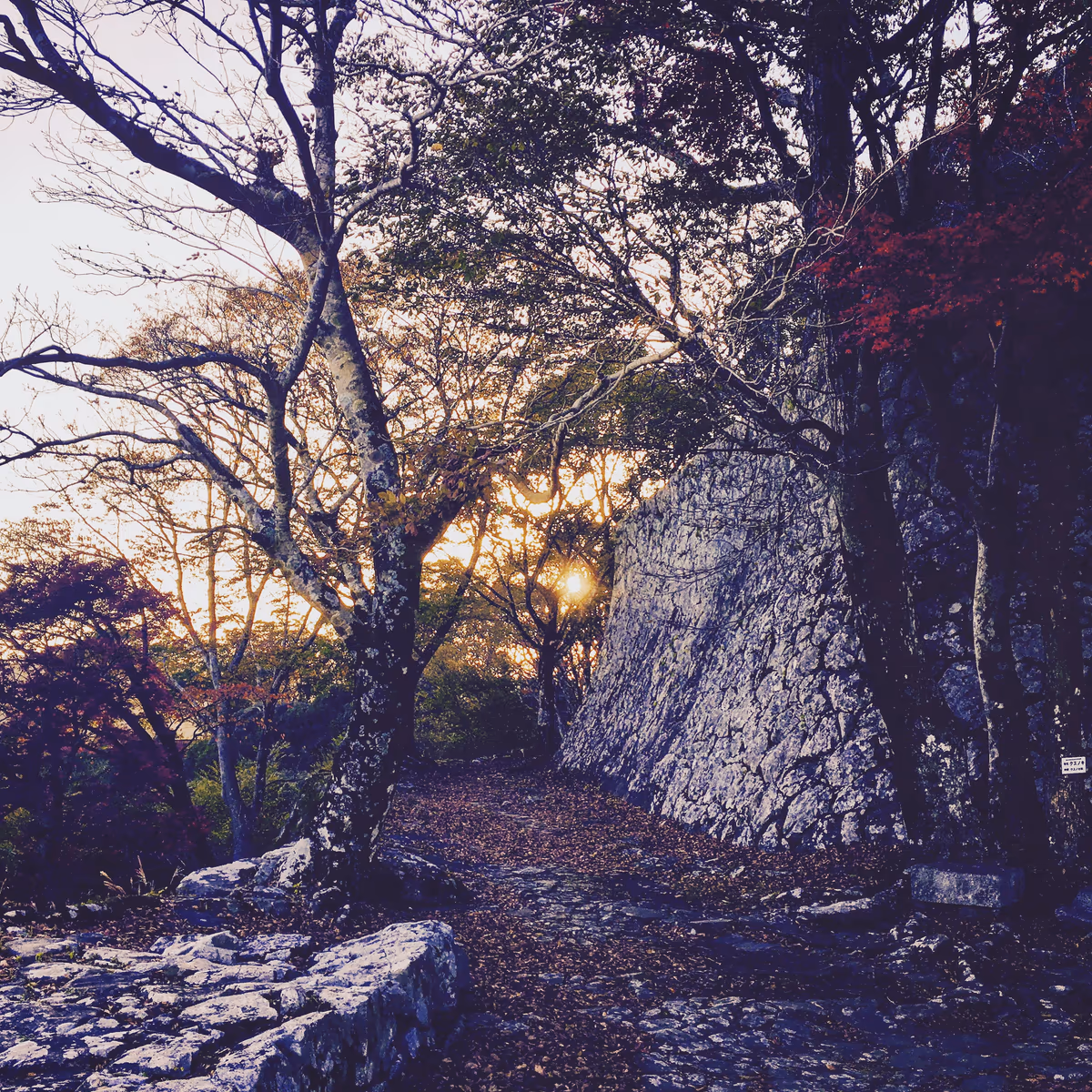 投稿写真：佐伯城