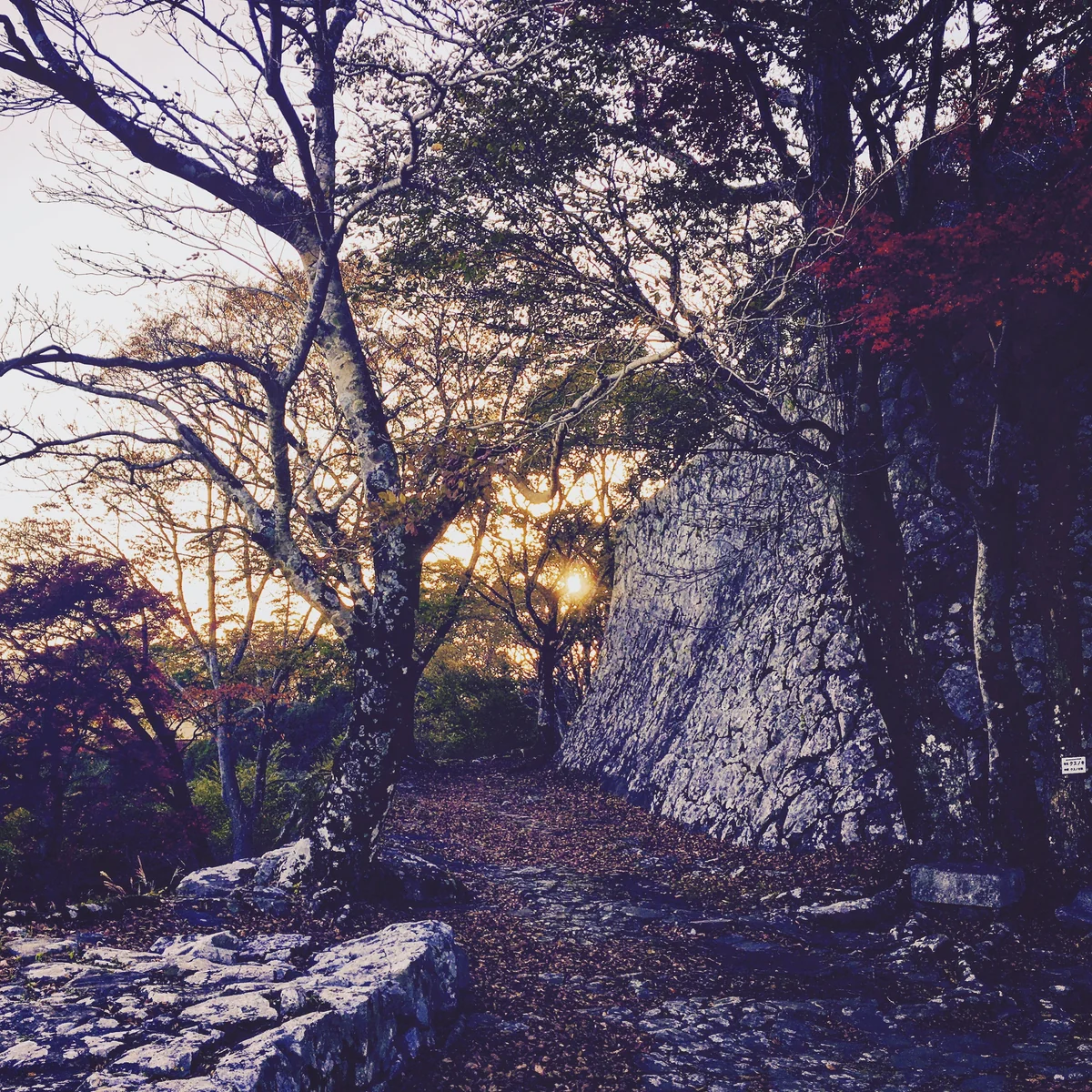 投稿写真：佐伯城