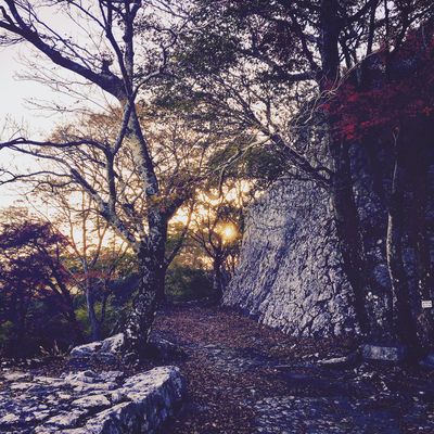  | 絶景事典