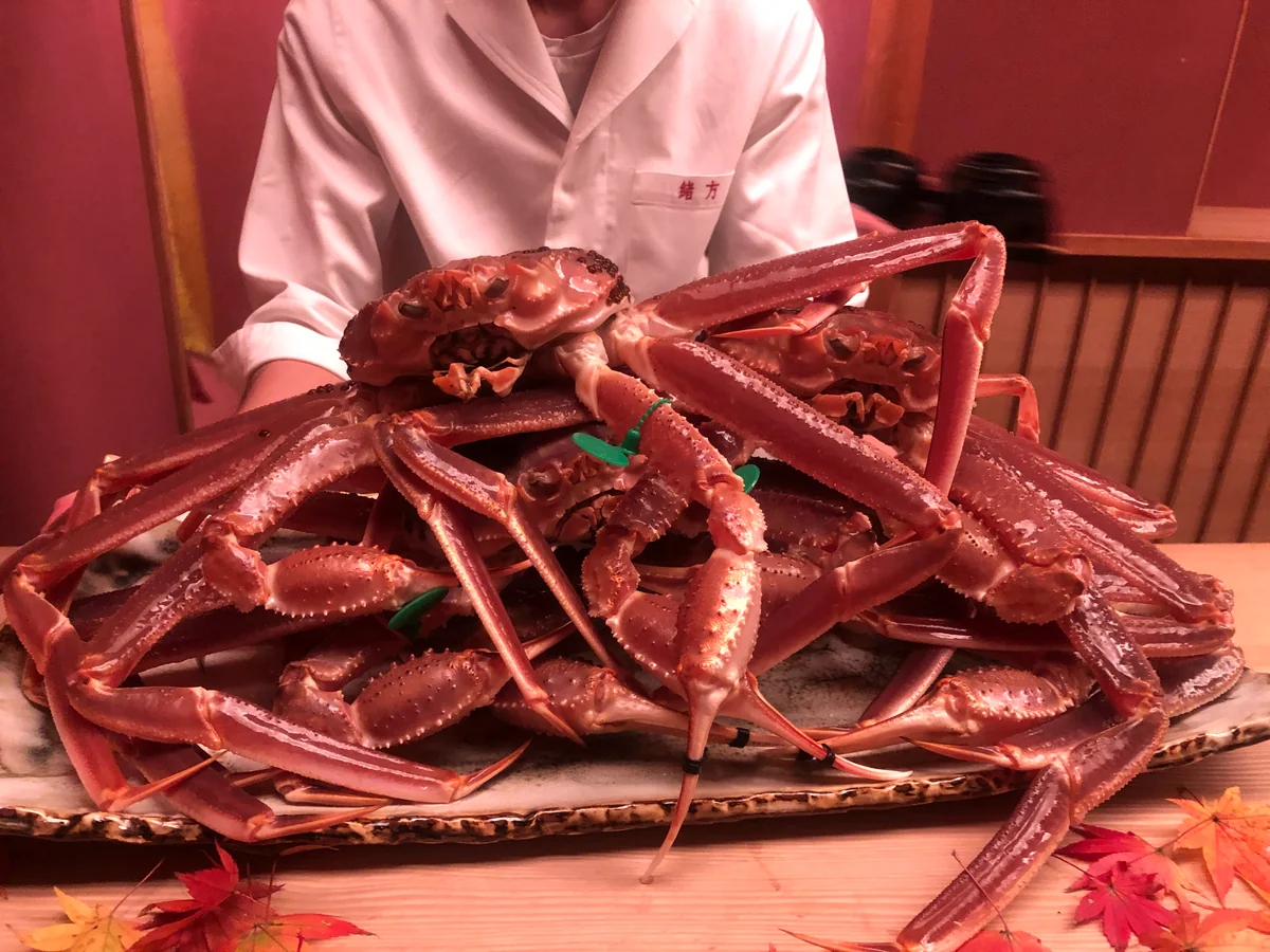 投稿写真：間人蟹