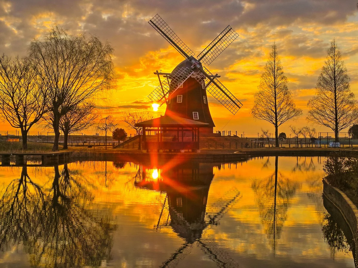 投稿写真：風車のある朝の風景