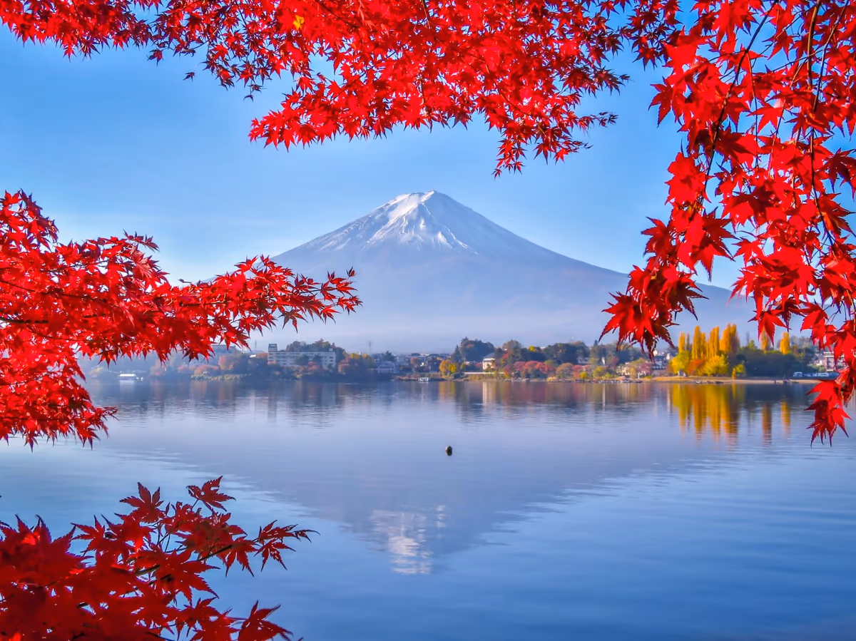 投稿写真：紅葉逆さ富士