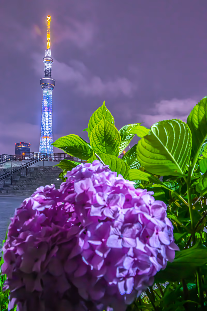 KNDさんの投稿写真