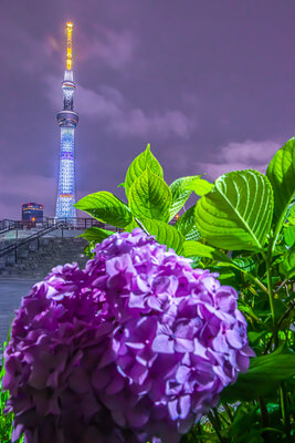  | 絶景事典