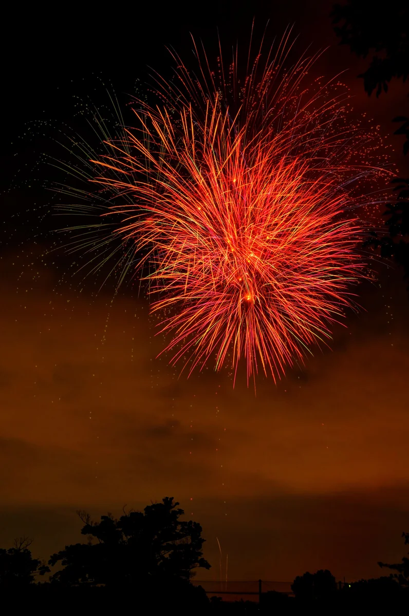 投稿写真：夏の花火