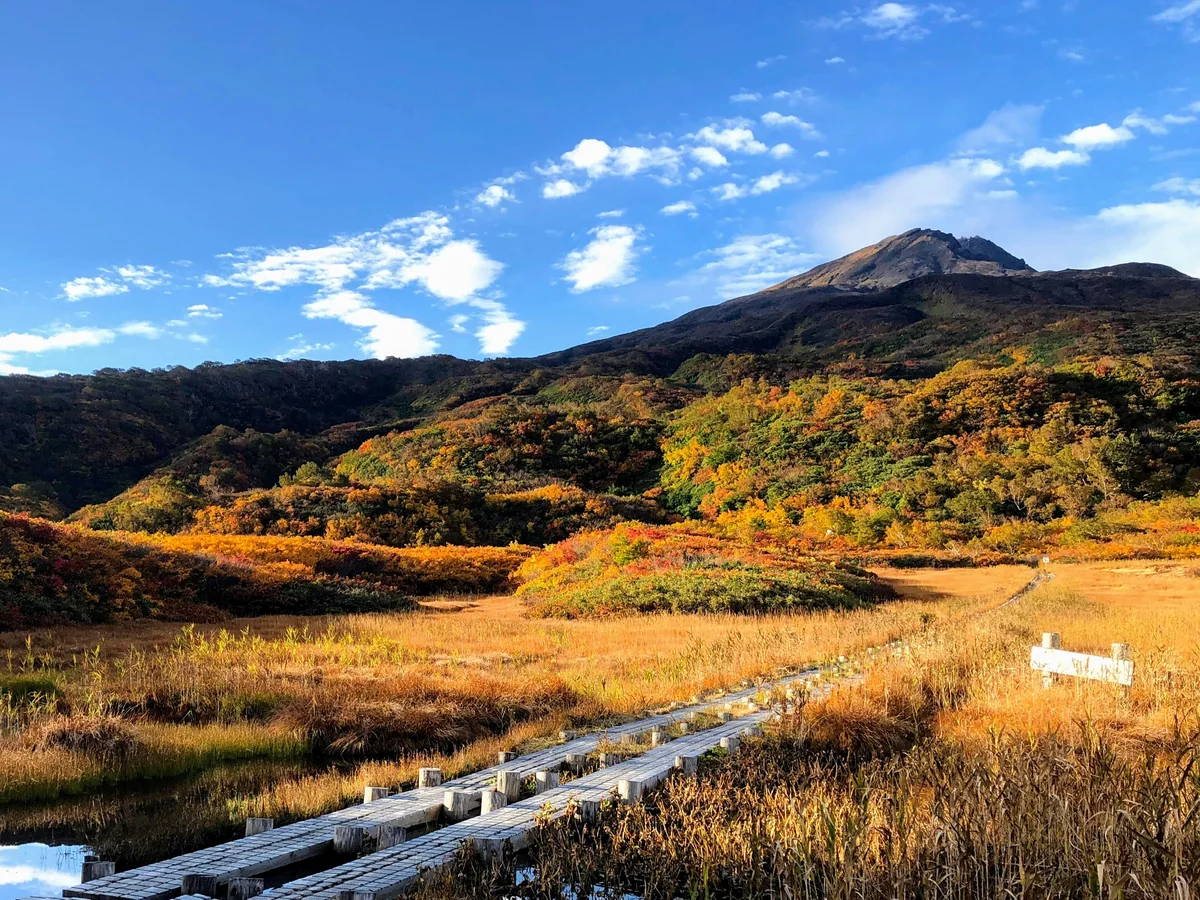 投稿写真：鳥海山の秋
