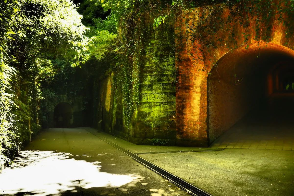 投稿写真：猿島　要塞の夢のあと