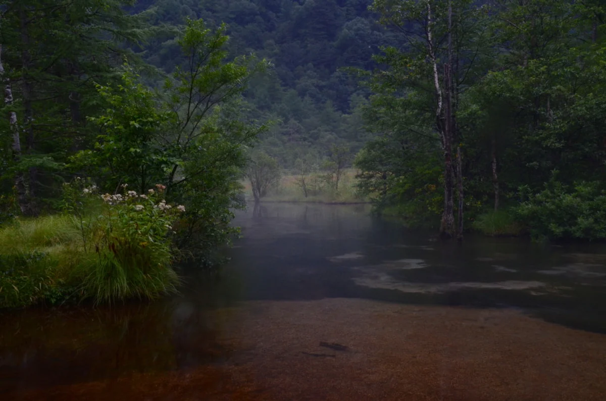 投稿写真：雨天の田代池