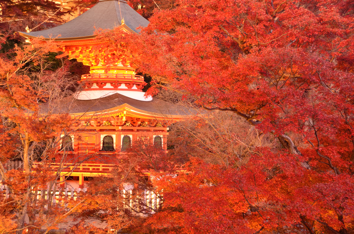 投稿写真：勝尾寺紅葉