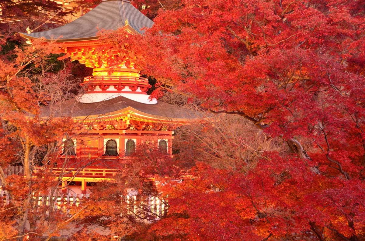 投稿写真：勝尾寺紅葉