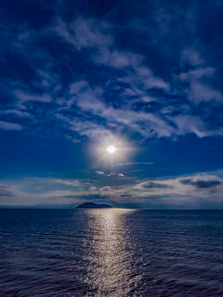 投稿写真：曙光冬天に煌めく