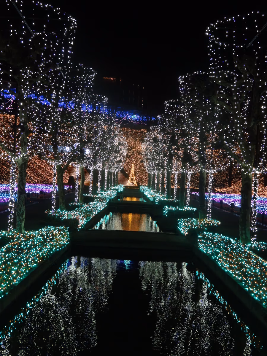 投稿写真：西武遊園地イルミージュ