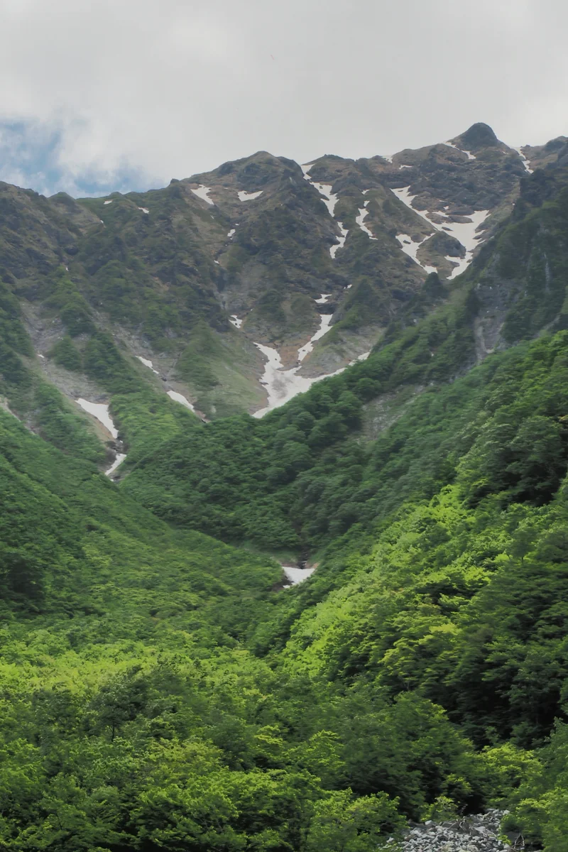 投稿写真：谷川岳　マチガ沢
