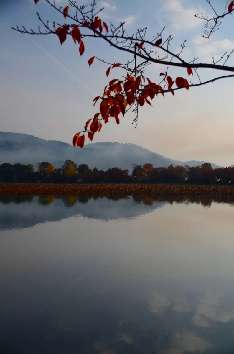 投稿写真：大沢池秋色