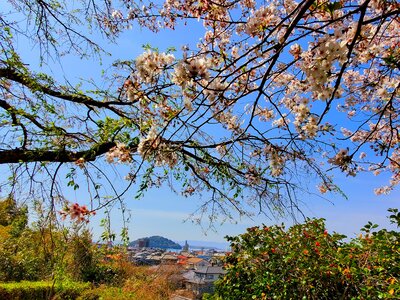  | 絶景事典