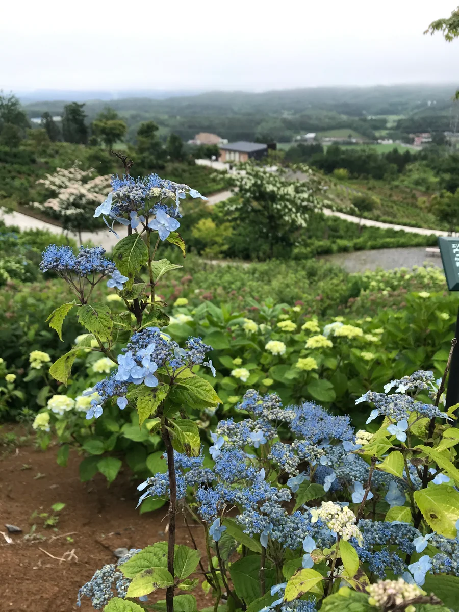 投稿写真：ジュピアランドひらた