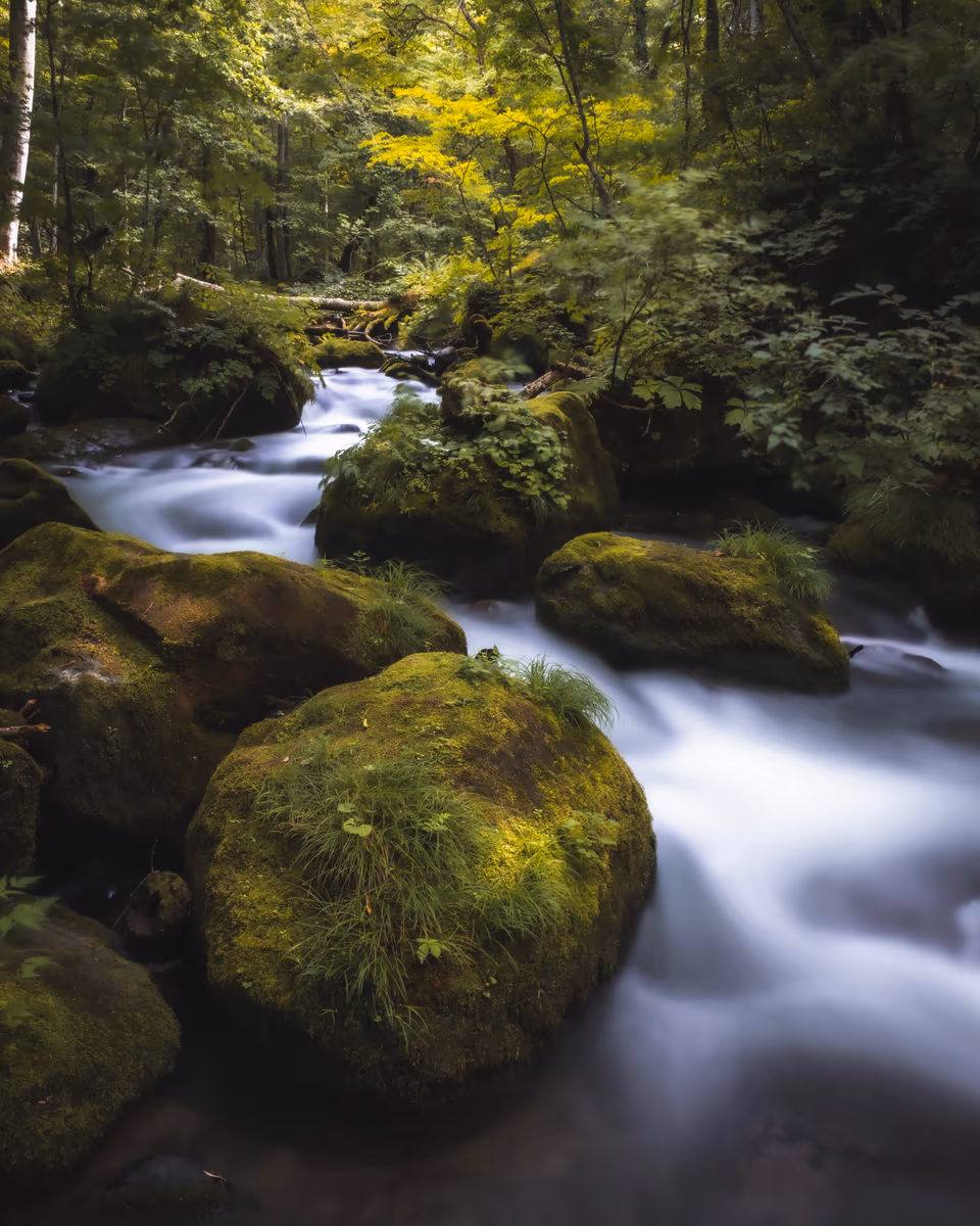 投稿写真：奥入瀬渓流 - 青森県