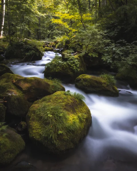 投稿：奥入瀬渓流 - 青森県