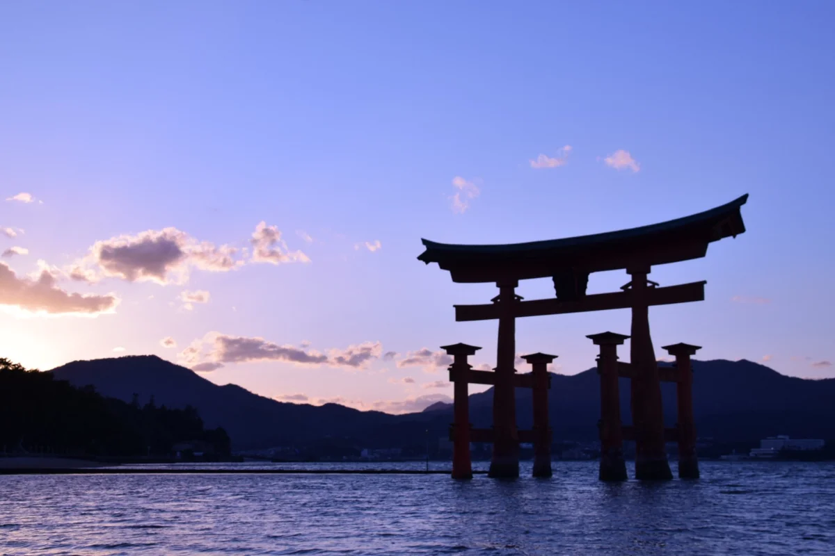 投稿写真：夕方の鳥居