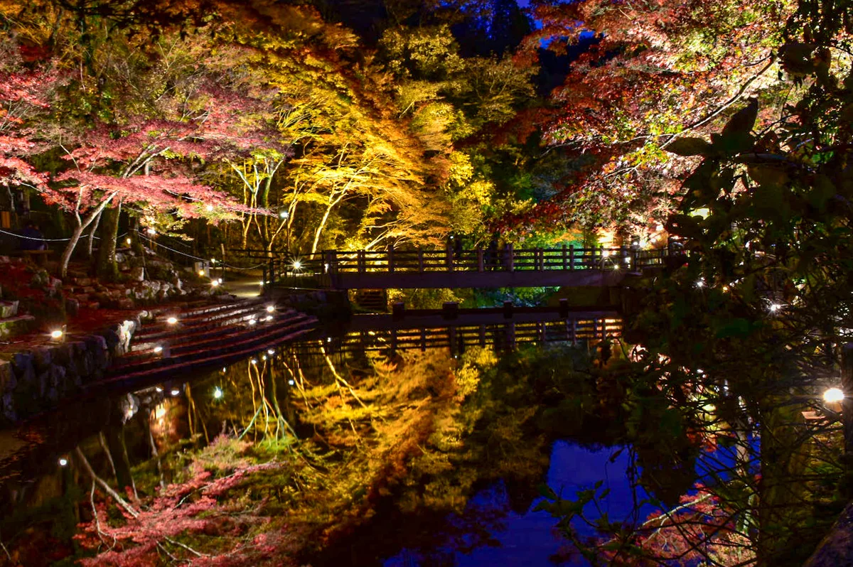 投稿写真：紅葉