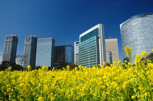 投稿：浜離宮恩賜庭園