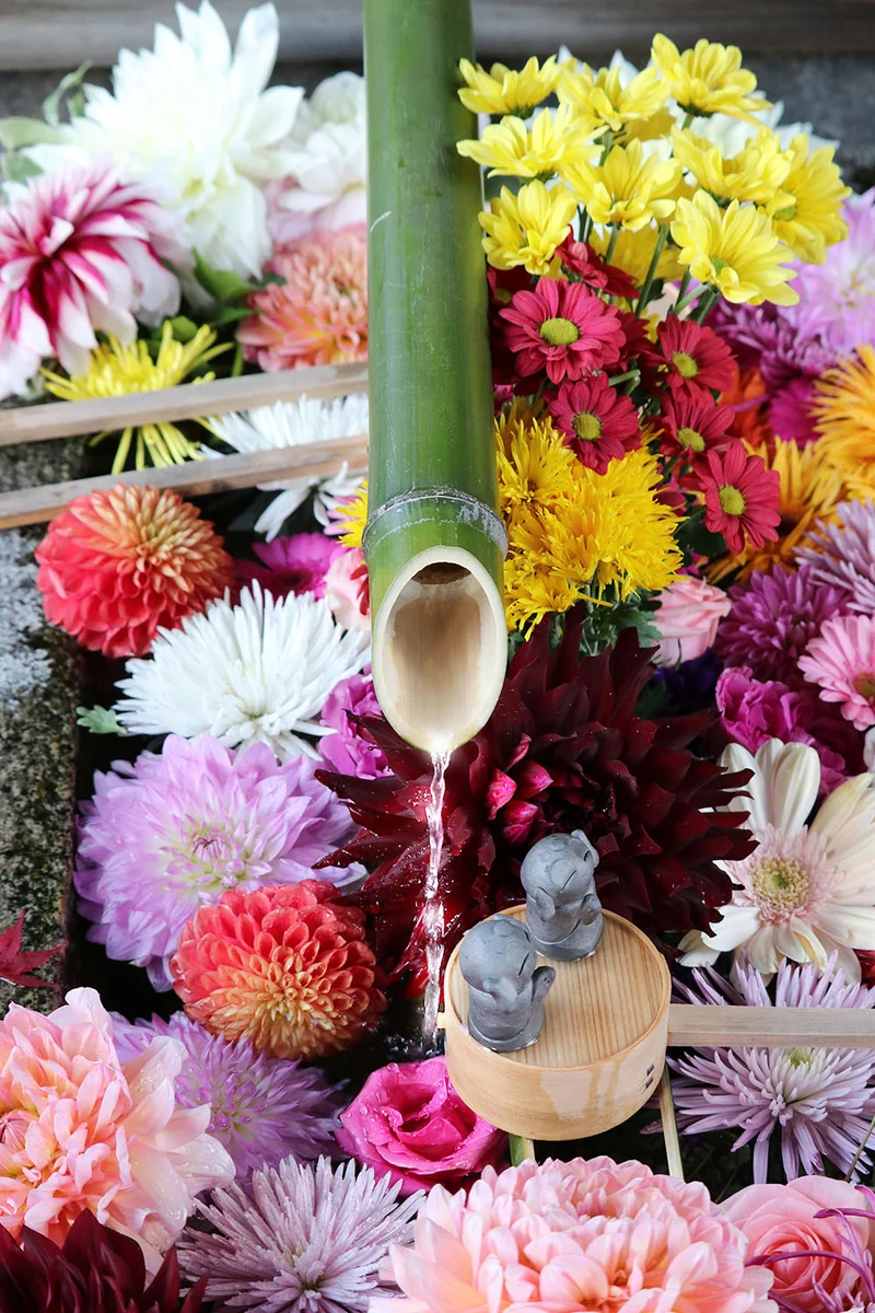 Novさんの投稿写真