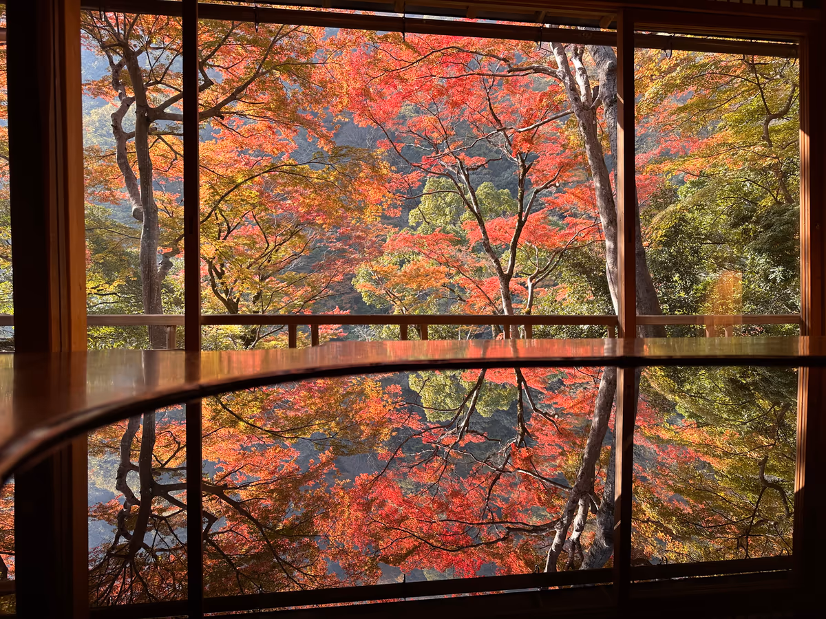 投稿写真：秋