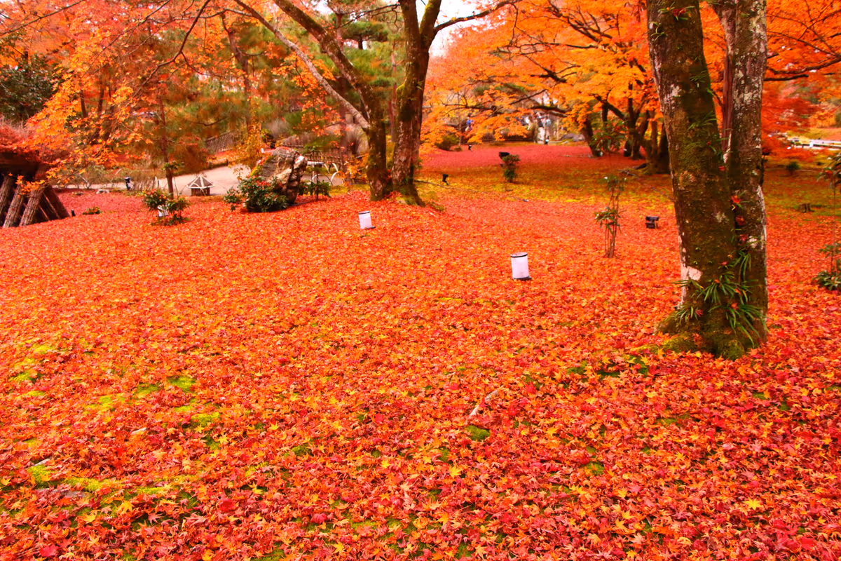 投稿写真：宝厳院