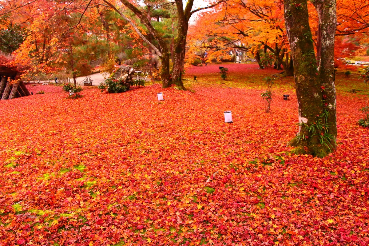 KNDさんの投稿写真